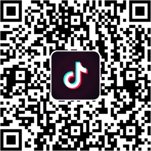 抖音小程序