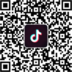 抖音小程序