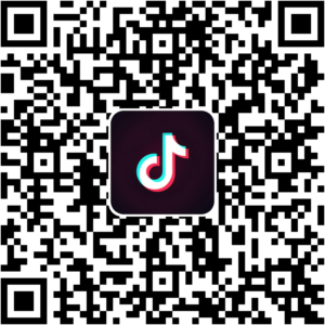 抖音小程序